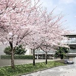 ディアナコート八雲桜樹の写真4-thumbnail
