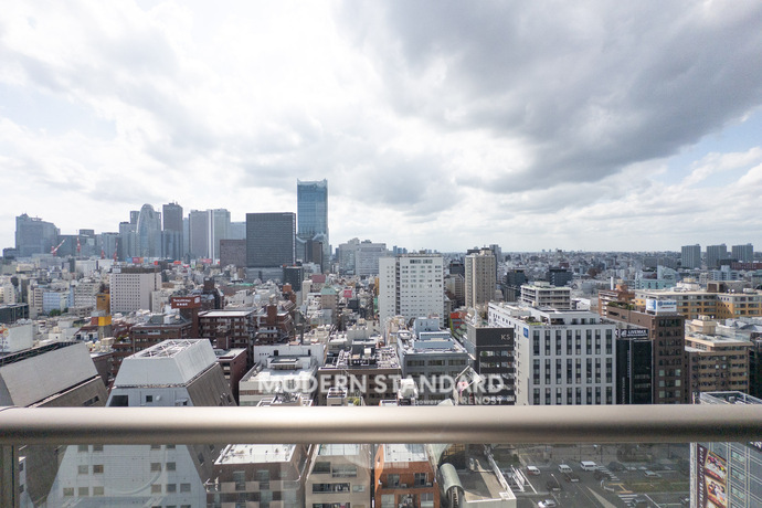 コンフォリア新宿イーストサイドタワー 20階 1LDK 350,170円〜371,830円の眺望1-slider
