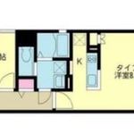 コスモグレイス新宿 3階 1LDK 145,500円〜154,500円の写真1-thumbnail