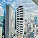 ザ・パークハウス西新宿タワー60 29階 1LDK 255,000円の眺望1-thumbnail